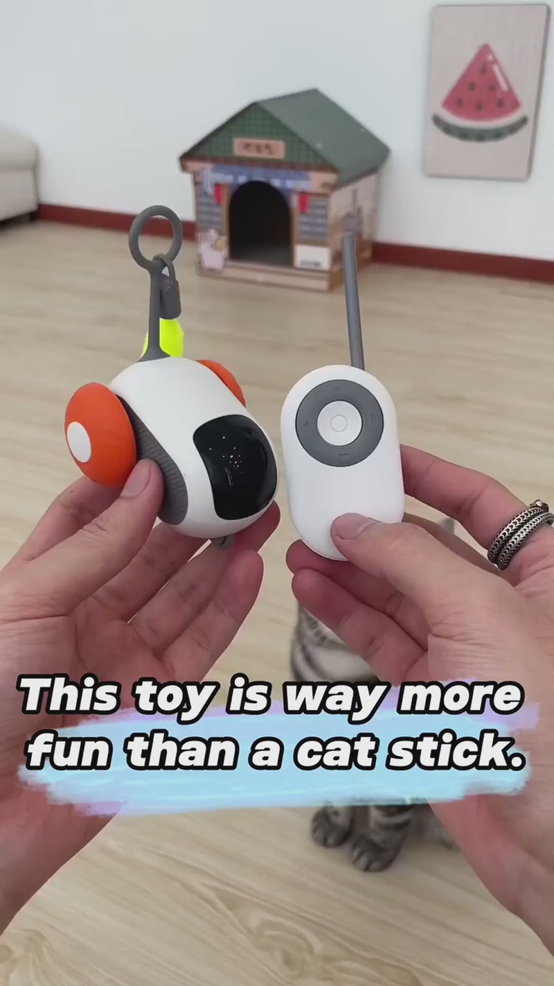 Watch Those Curious Paws