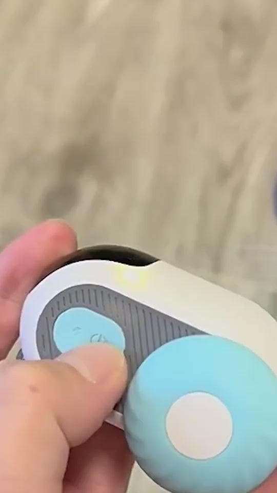 Meet Their Next Favorite Toy